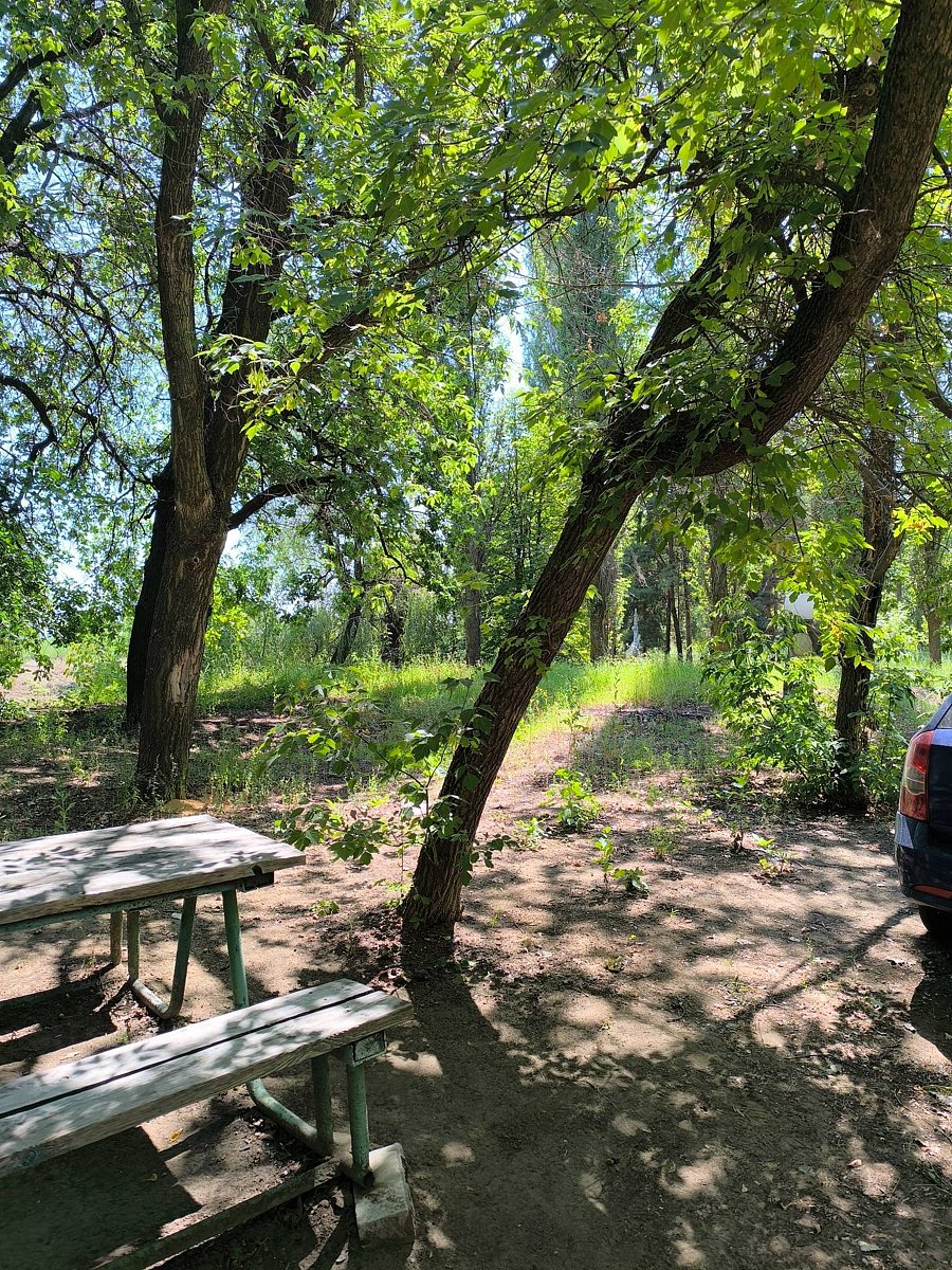 Фото 5 из отзыва о базе отдыха Лада