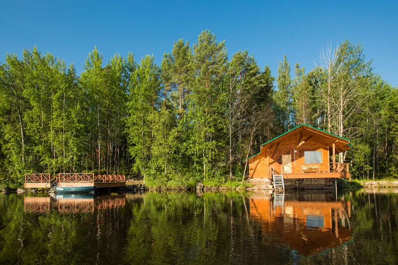 Лесная сказка, Ленинградская область: фото 4