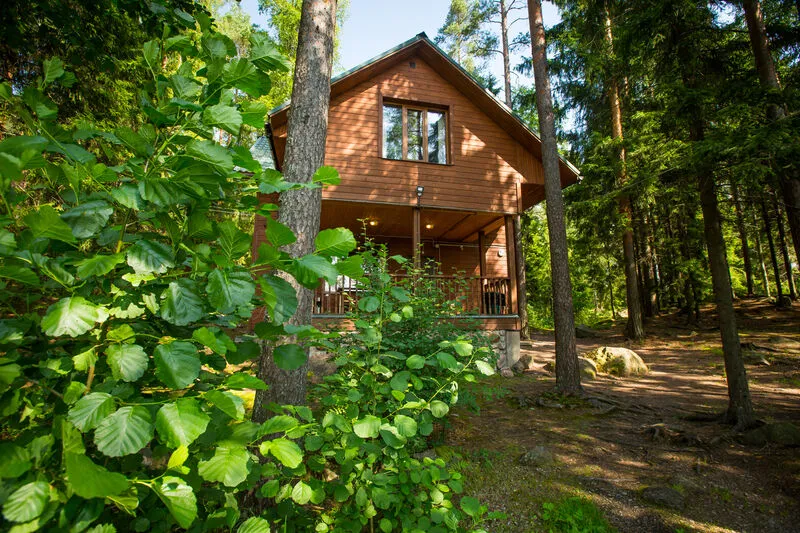 База отдыха Лесная сказка, Выборгский район, Ленинградская область