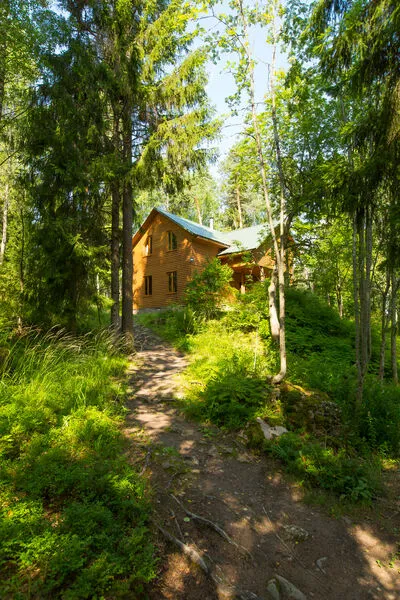 Лесная сказка, Ленинградская область: фото 2