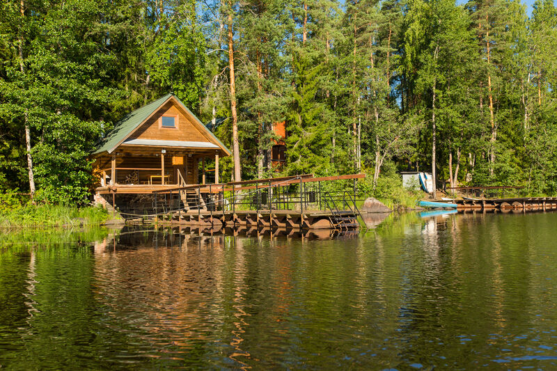 Лесная сказка, Ленинградская область: фото 3