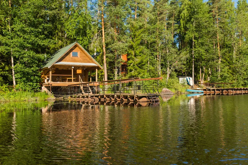 Лесная сказка, Ленинградская область: фото 3