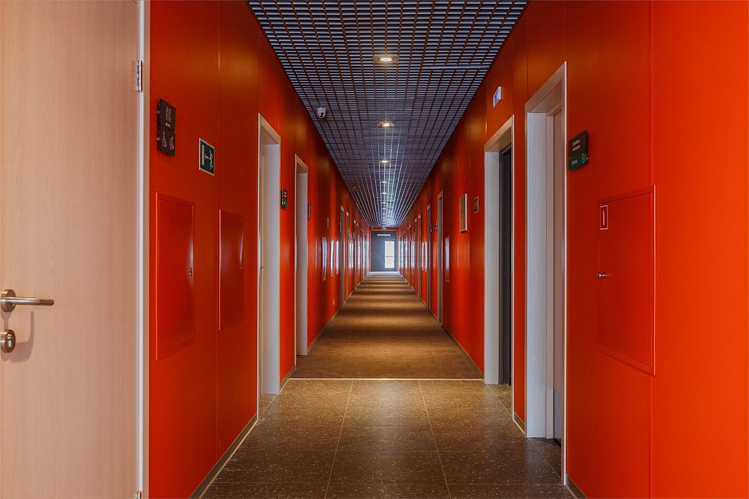 3А Арзамас М12, Нижегородская область: фото 5