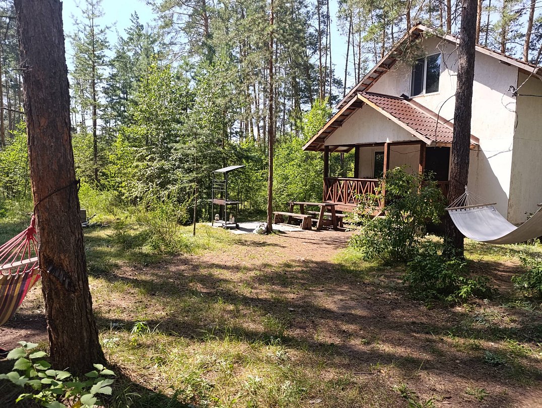 Фото 2 из отзыва о гостевом доме Лес