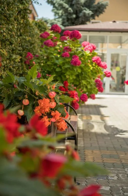 Территория | Palma Park, Краснодарский край