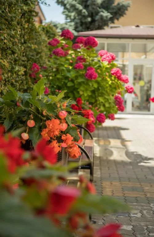 Территория | Palma Park, Краснодарский край