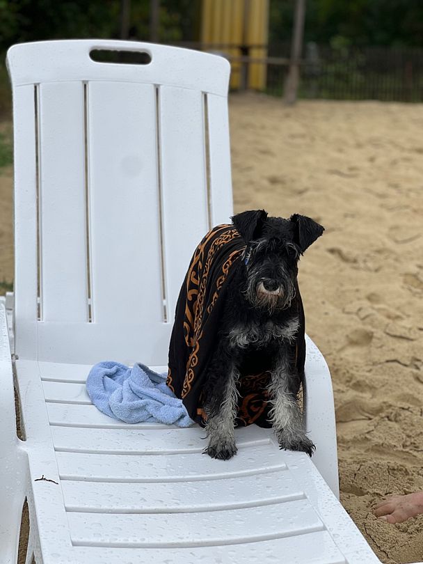 Фото 4 из отзыва о базе отдыха Дружба