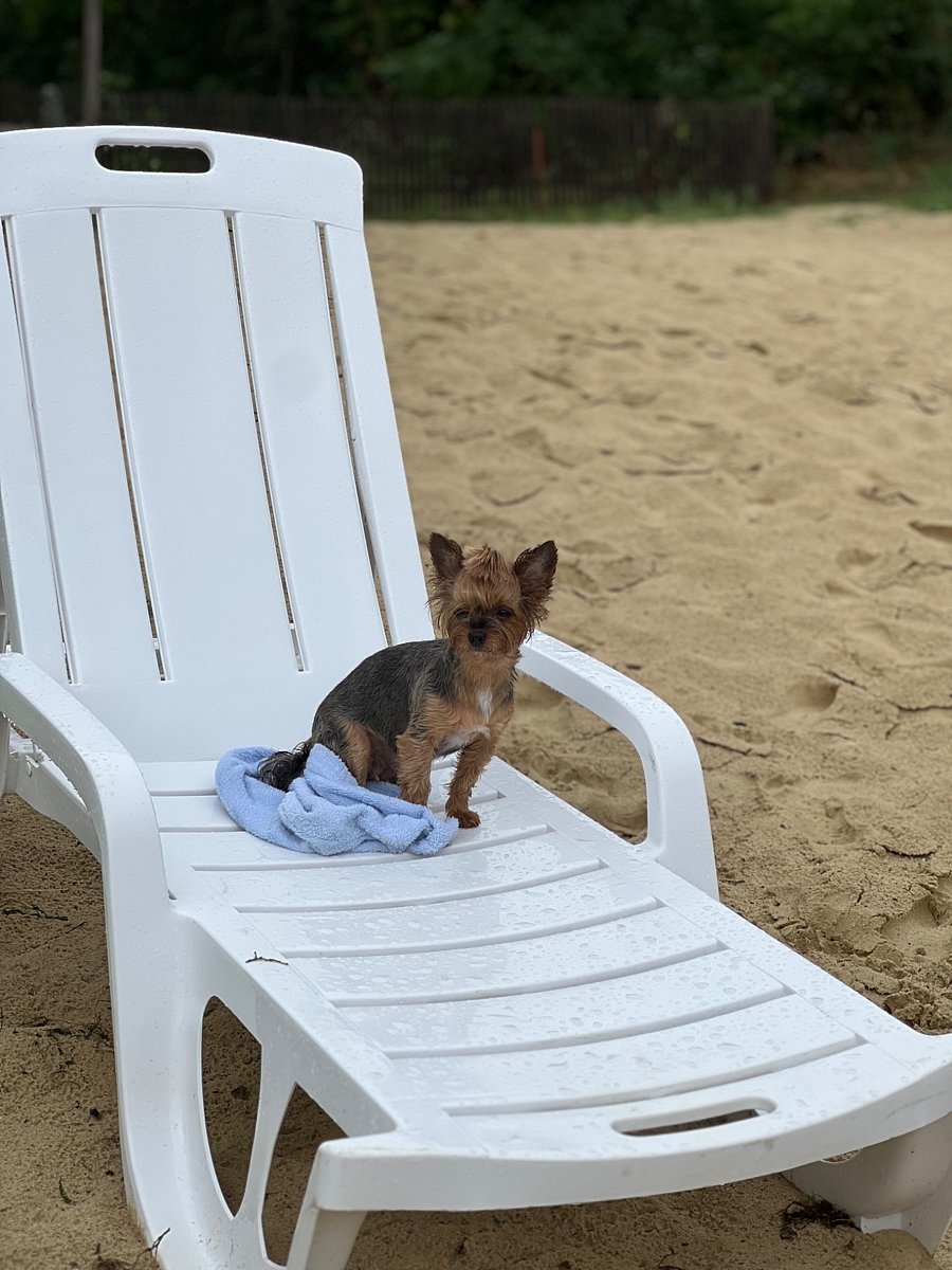 Фото 12 из отзыва о базе отдыха Дружба