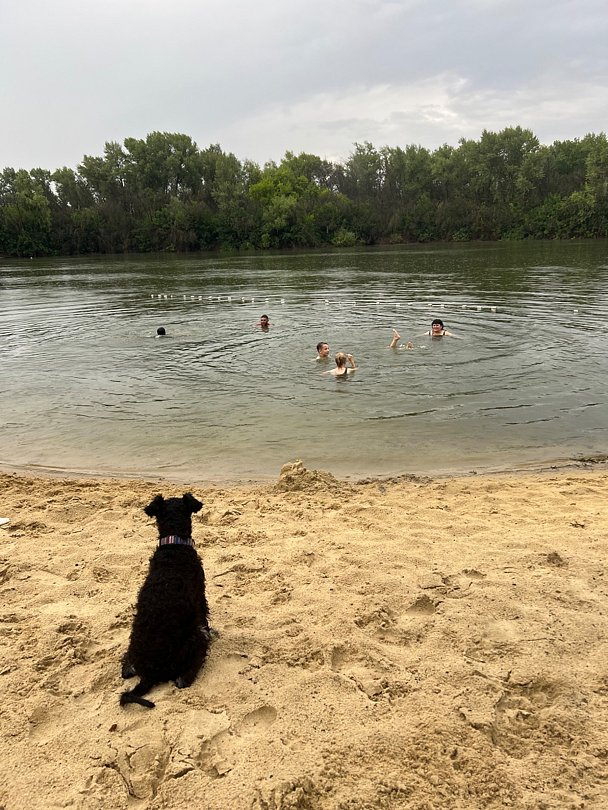 Фото 7 из отзыва о базе отдыха Дружба