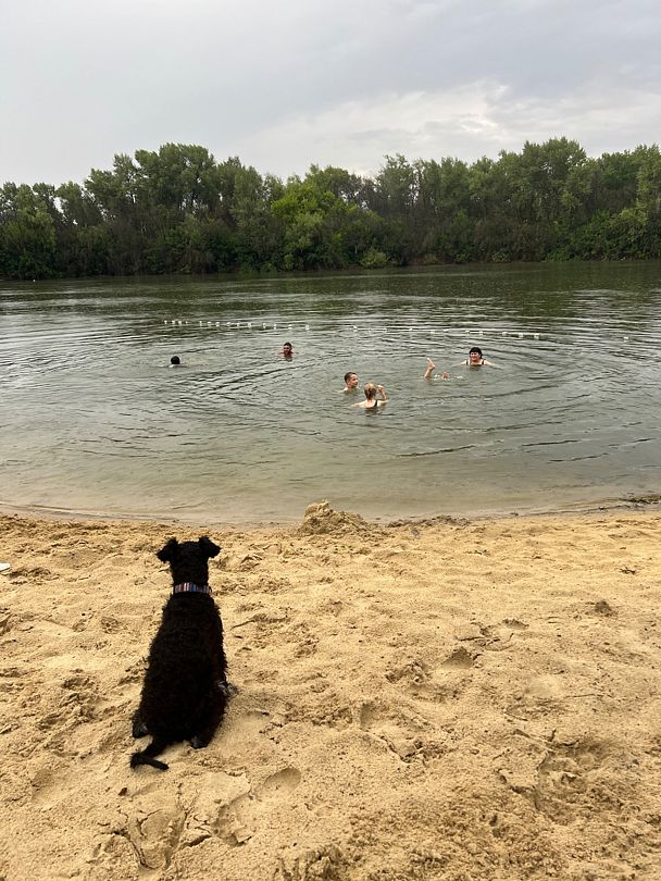 Фото 7 из отзыва о базе отдыха Дружба