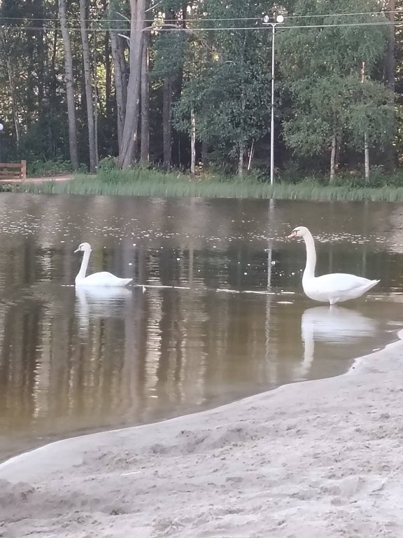 Фото из отзыва от 16.07.2025