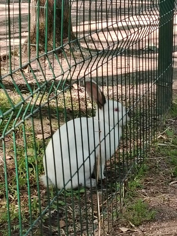 Фото из отзыва от 16.07.2025