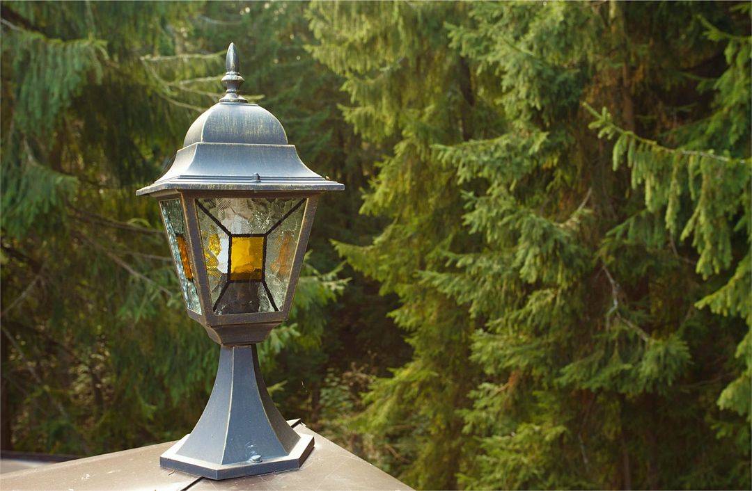 Домик Охотника, Ленинградская область: фото 5