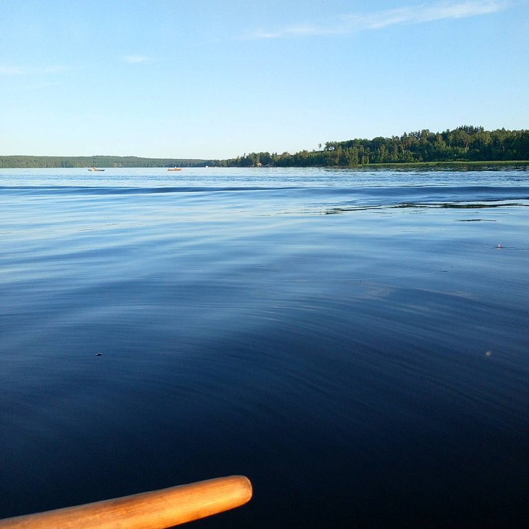 Фото из отзыва от 14.07.2025