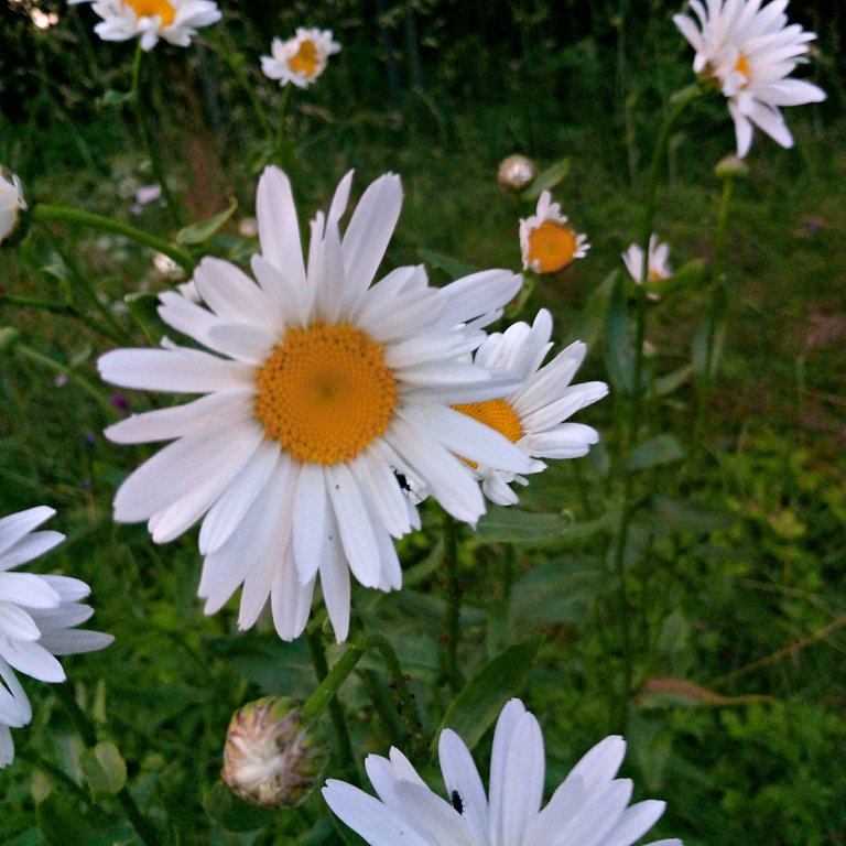 Фото из отзыва от 14.07.2025