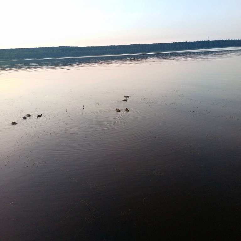 Фото из отзыва от 14.07.2025