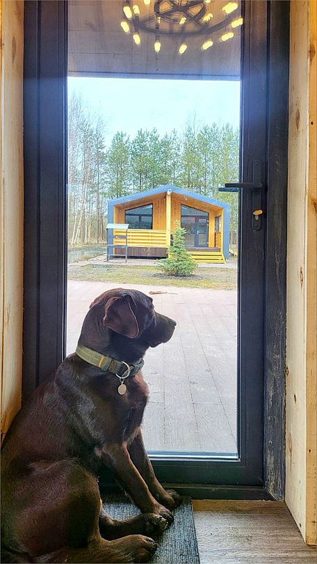 Тишь да камыш, Ленинградская область: фото 3