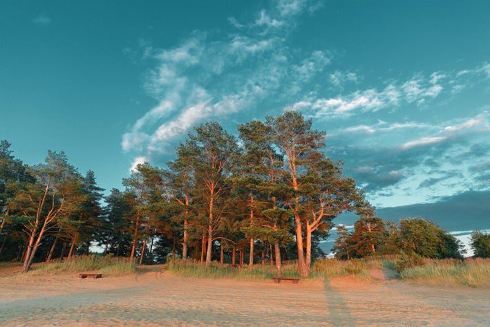 Fox-Сеть коттеджей, Ленинградская область: фото 5