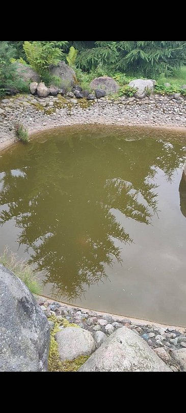 Фото 2 из отзыва о коттеджном комплексе Светозар