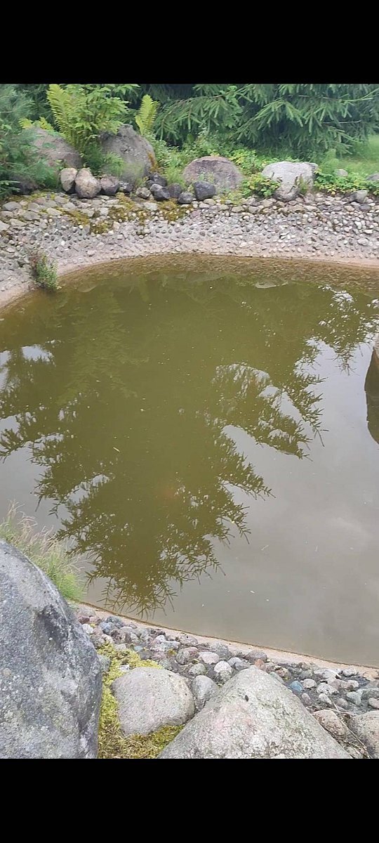 Фото 4 из отзыва о коттеджном комплексе Светозар