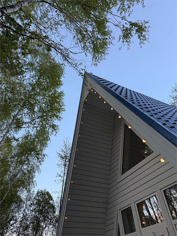 Тишь да Лес, Тульская область: фото 2