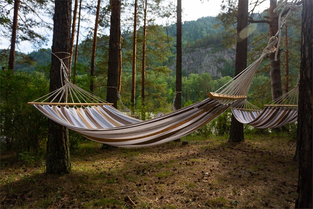 Sol resort, Горный Алтай (Республика Алтай): фото 4