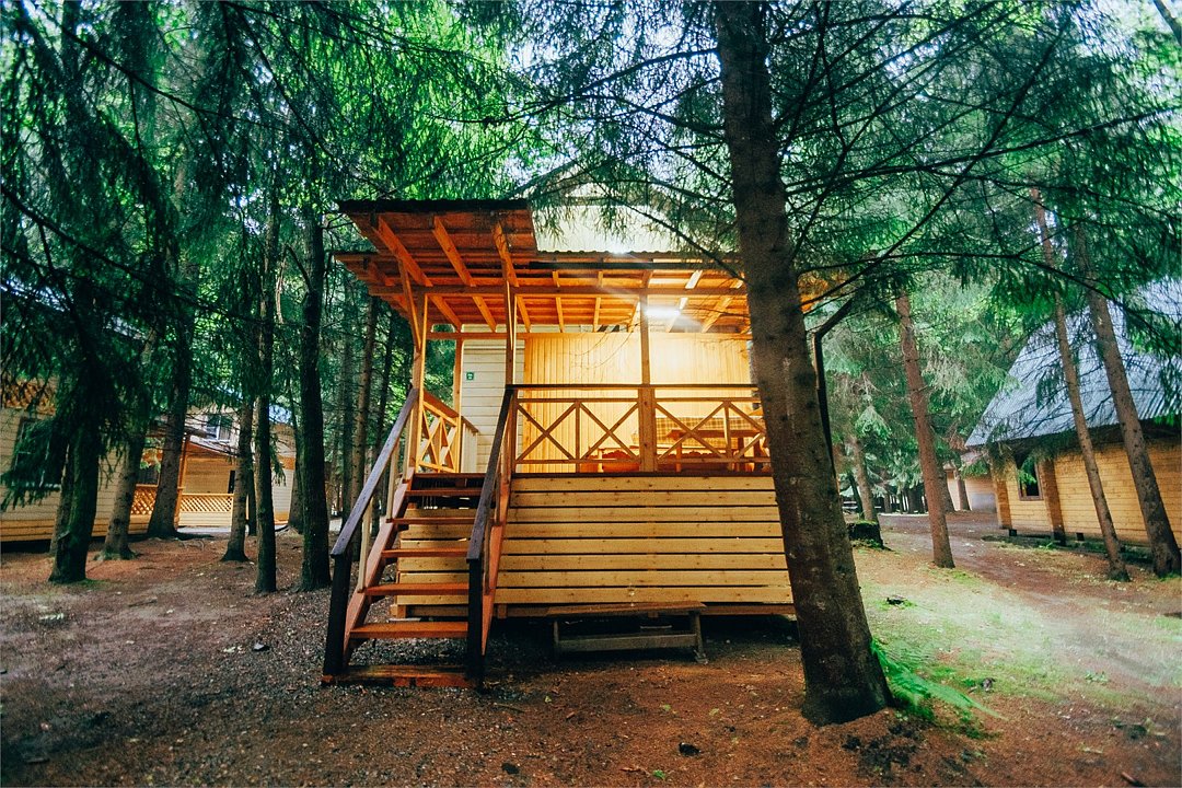 Лесовичок, Алтайский край: фото 5