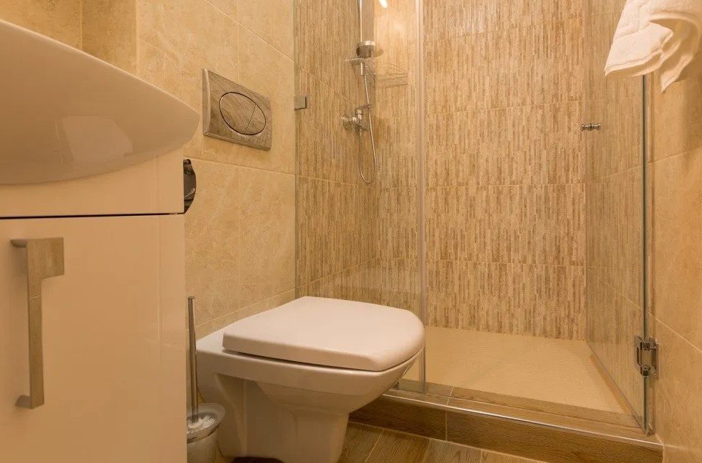 Делюкс 2-местный 1-комнатный (TWIN)