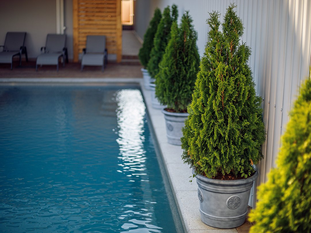 Nautilus Family, Краснодарский край: фото 4