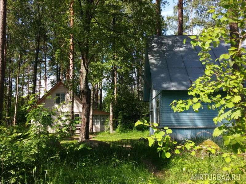 База отдыха Холодный ручей, Ленинградская область, Холодный ручей Приозерский район Коробицыно