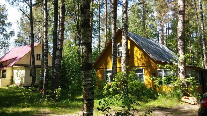 Холодный ручей, Ленинградская область: фото 3