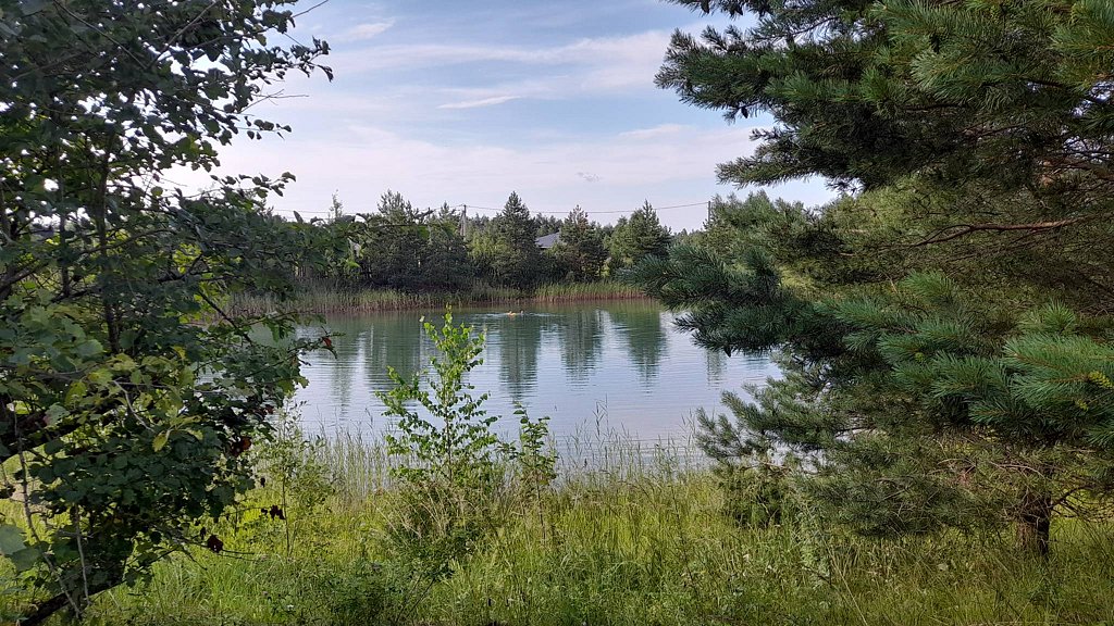 Фото из отзыва от 07.07.2025