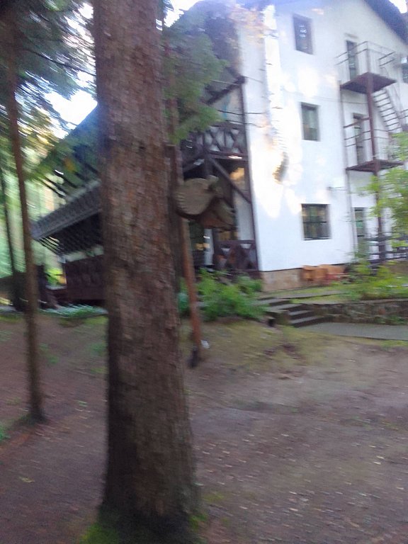 Фото из отзыва от 15.07.2025