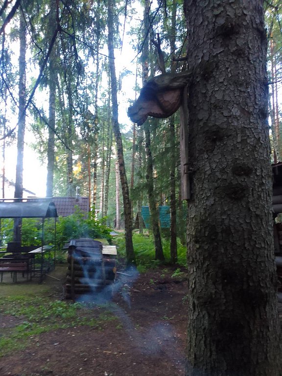 Фото из отзыва от 15.07.2025