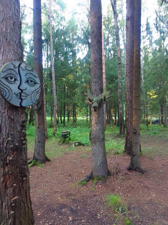 Фото из отзыва от 15.07.2025