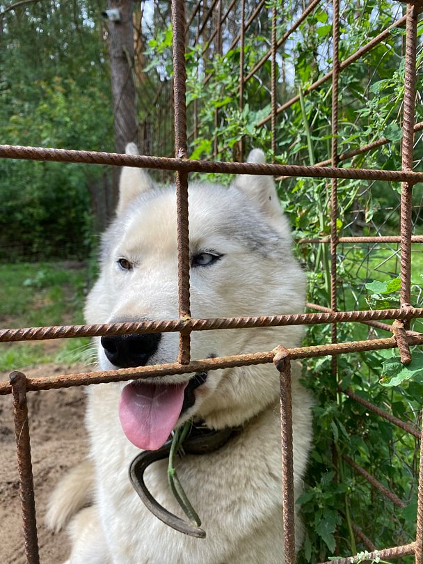 Фото 1 из отзыва об экопарке Лесной ключ