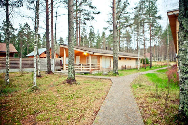 Trava, Ленинградская область: фото 2