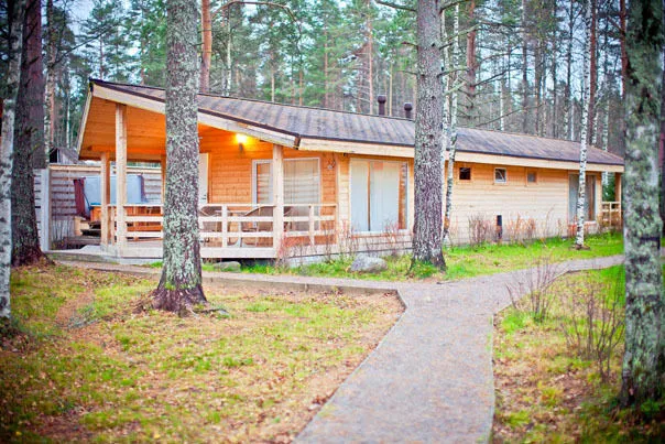 Trava, Ленинградская область: фото 4