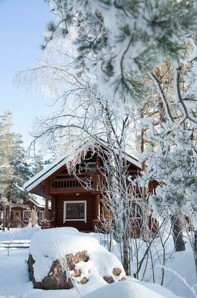 Александр-Парк, Ленинградская область: фото 5