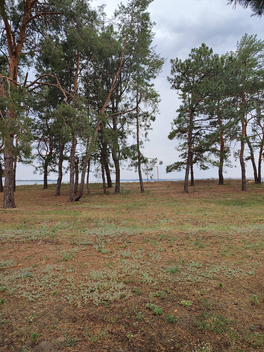 Фото 4 из отзыва о базе отдыха «Южная ночь» на Цимлянском берегу