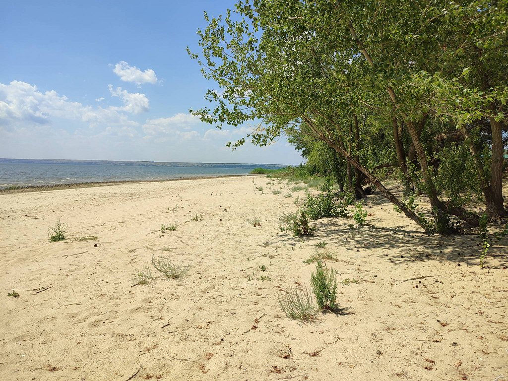 Фото из отзыва от 19.07.2025