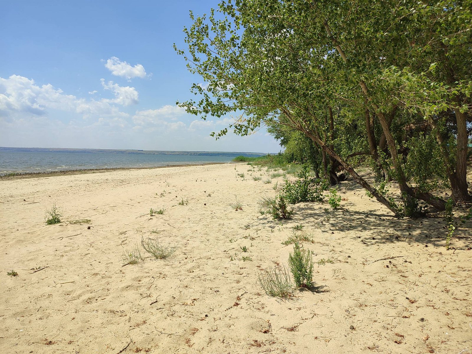 Фото 5 из отзыва о базе отдыха «Южная ночь» на Цимлянском берегу