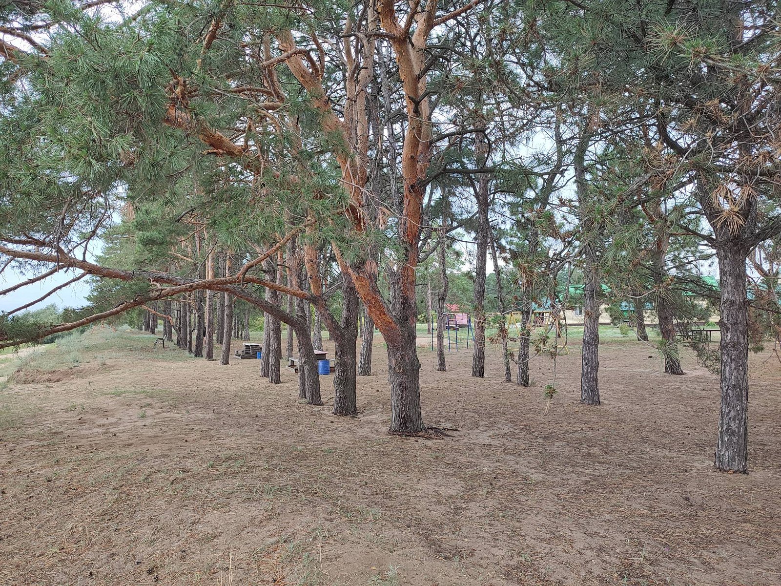 Фото 8 из отзыва о базе отдыха «Южная ночь» на Цимлянском берегу