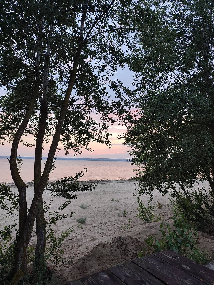 Фото 1 из отзыва о базе отдыха «Южная ночь» на Цимлянском берегу