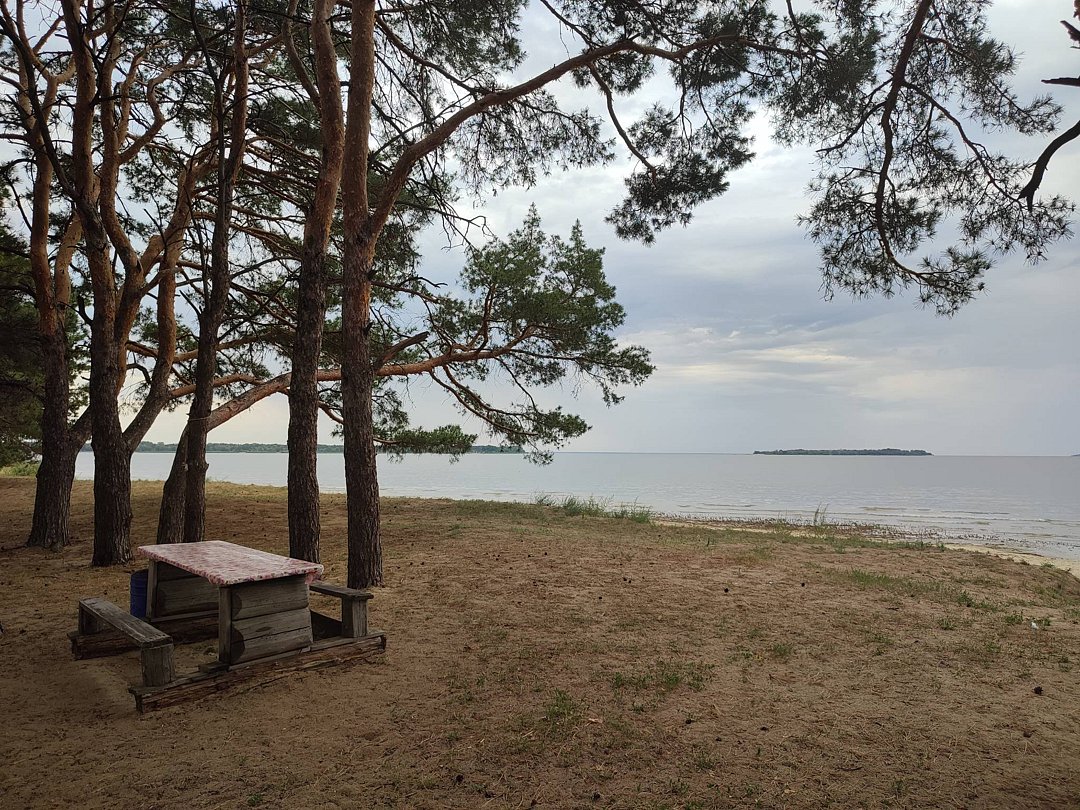 Фото 9 из отзыва о базе отдыха «Южная ночь» на Цимлянском берегу