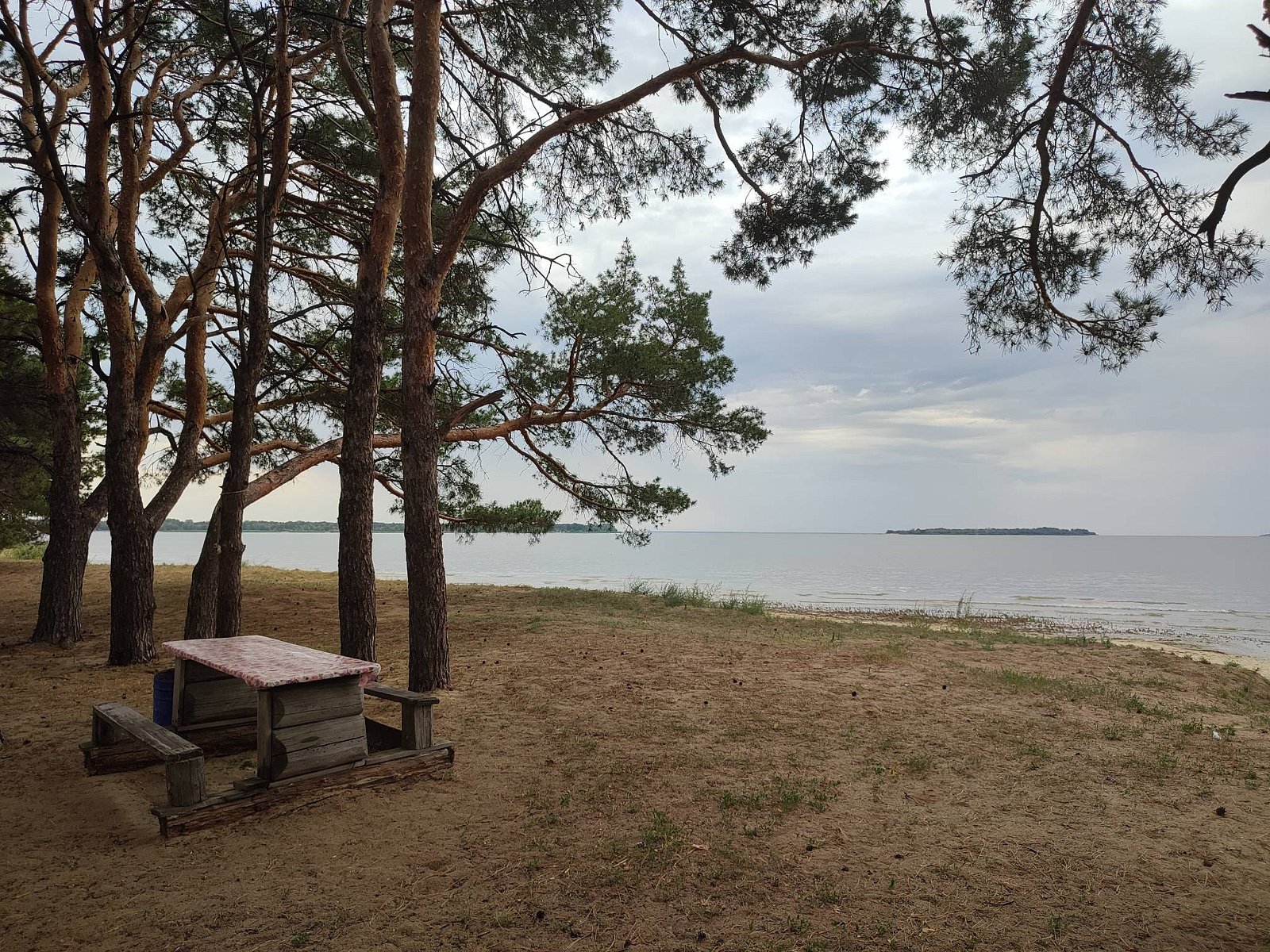 Фото 9 из отзыва о базе отдыха «Южная ночь» на Цимлянском берегу