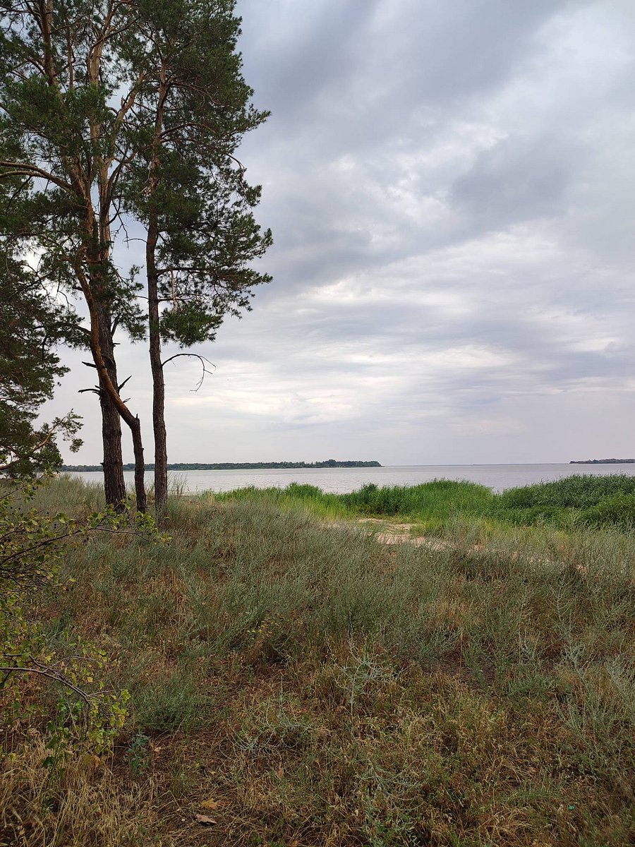 Фото 10 из отзыва о базе отдыха «Южная ночь» на Цимлянском берегу