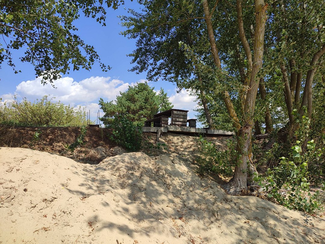 Фото 12 из отзыва о базе отдыха «Южная ночь» на Цимлянском берегу