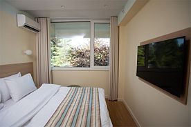 Стандарт без балкона, Отель Portoritsa, Гечрипш