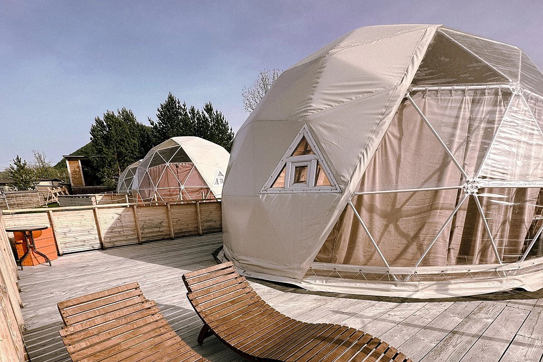 Лисички-сестрички, Самарская область: фото 5